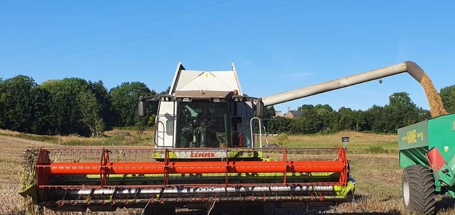 Claas Lexion 570 - Photo 4